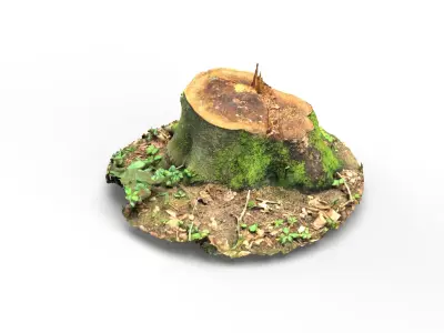 Forest Tree Stump 4K -Part 2- Free low-poly 3D model