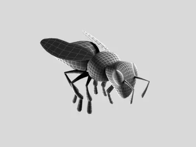bee insect 3D model