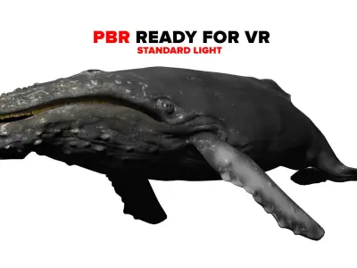 humpback whale  Low-poly 3D model