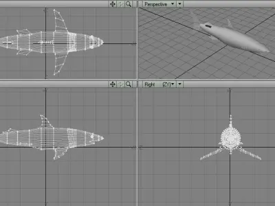 Shark - Mako 3D model