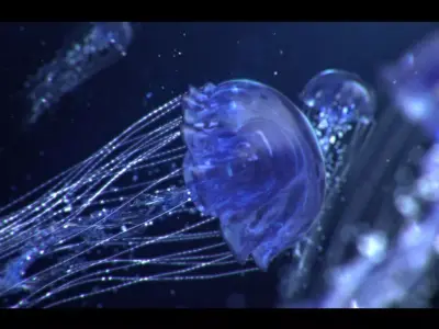Jellyfish Animated 3D model