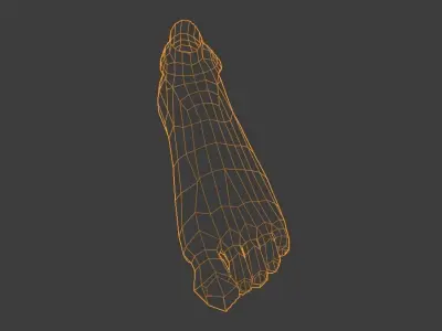 LEFT FOOT Low-poly 3D model