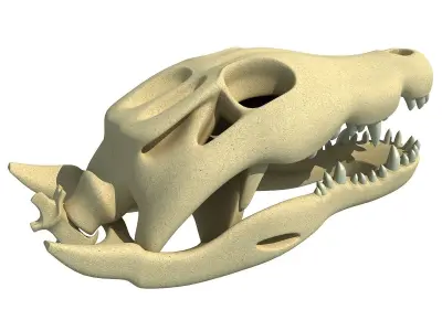 Crocodile Skull 3 3D model