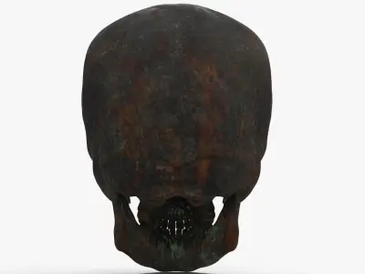 Human Skull Sci-fi Iron B 3D model