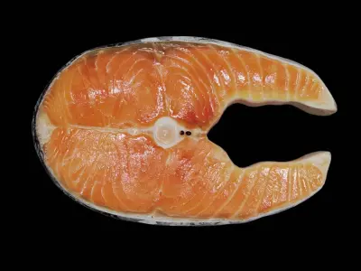 Raw salmon steak Low-poly 3D model