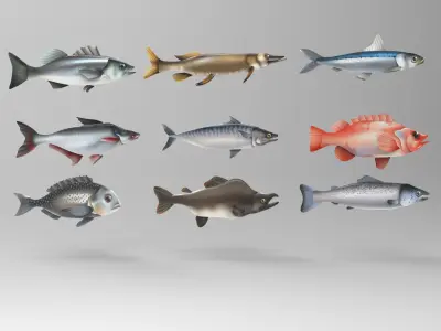 Fish Sea Collection 2 Low-poly 3D model