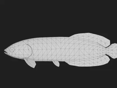 Bonytongue Low-poly 3D model