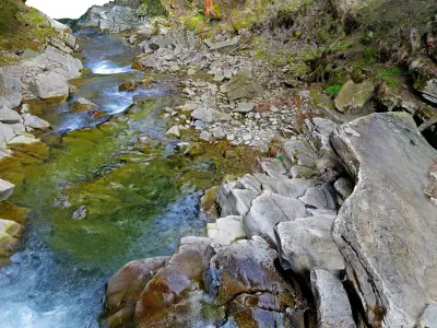 Forest River 16K 3D model