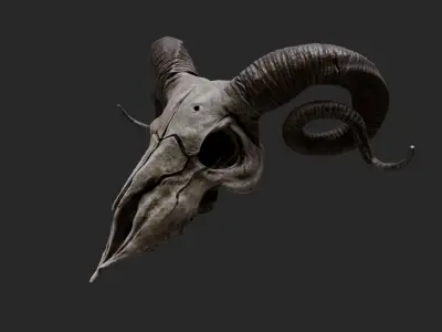 Ram Skull - Lowpoly and Highpoly Low-poly 3D model