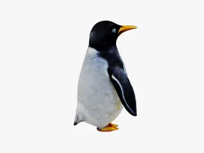 Penguin Free 3D model