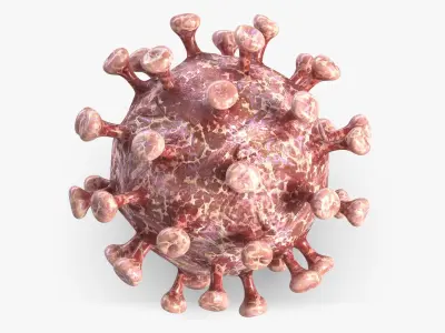 Coronavirus 2 COVID-19 3D model