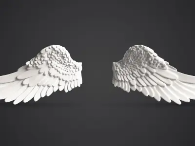 Angel Wings 3D model get
