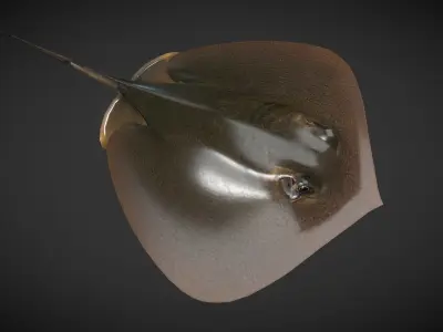 Akae 01 Low-poly 3D model