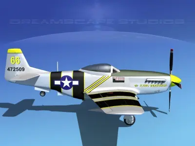 P-51D Mustang The Flying Undertaker 3D model
