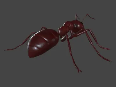 ANTS-003 Rigged Red Ant Low-poly 3D model