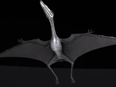 Pterodactylus dinosaur flying in air 3D model