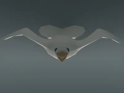 Low-poly seagull Free low-poly 3D model