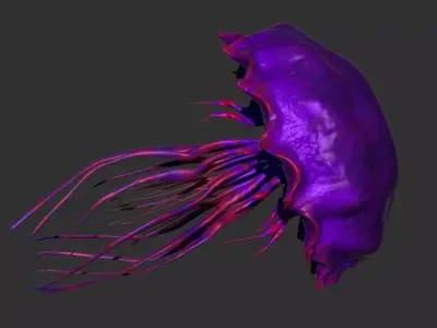   Purple jellyfish 3D model