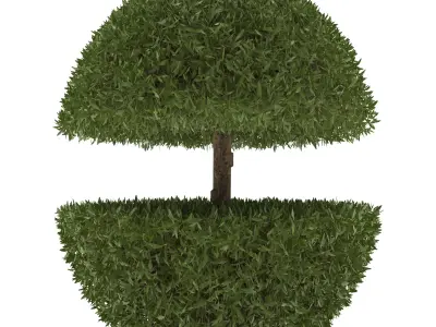 Outdoor bush Free 3D model