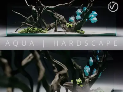 Aquarium Hardscape 3D model