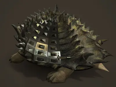 Stylized Armored tortoise - Tortashidze - Game Ready 3D model Low-poly 3D model