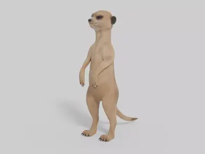 3D Meerkat Model Low-poly 3D model