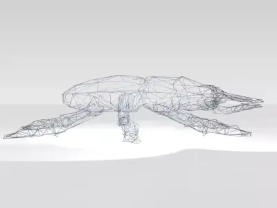 Stagbeetle Wireframe 3D model