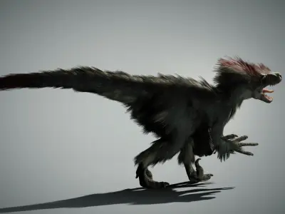 Raptor - Blender Low-poly 3D model