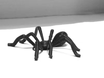 TEGENARIA DOMESTICA 3D print model