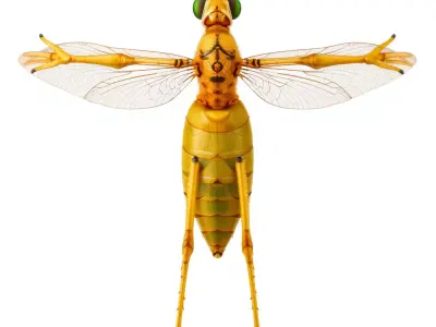 Golden Wasp model pack Low-poly 3D model