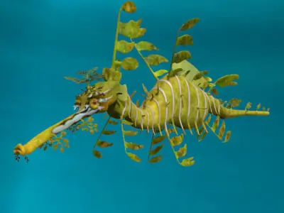 Leafy sea dragon 3D model