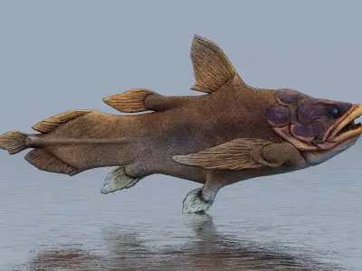 Giant arapaima Low-poly 3D model