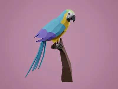 Stylized Parrot Low-poly 3D model