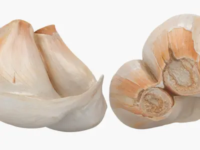 Garlic Clove Pile v2 3D model