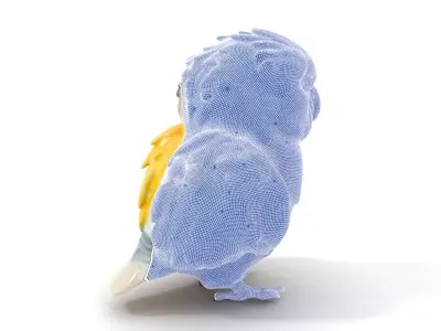 Vibrant Parakeet model pack Low-poly 3D model