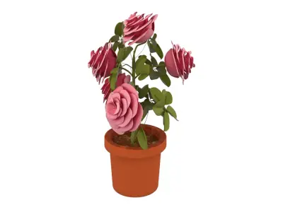 Plant Low-poly 3D model