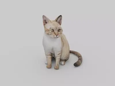 cute cat Low-poly 3D model