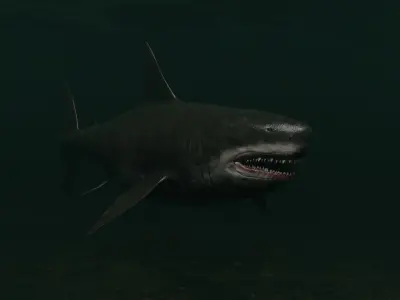 Megalodon Shark  Low-poly 3D model