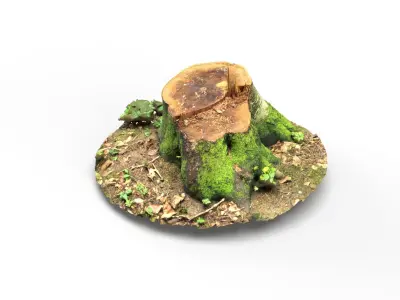 Forest Tree Stump 4K -Part 2- Free low-poly 3D model