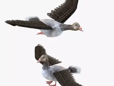 Goose bird rigged 3d model Low-poly 3D model