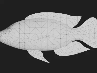 Cichlid Low-poly 3D model