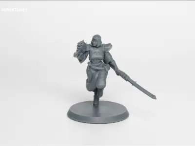 Divine Order - Initiate Pose 1  3D print model