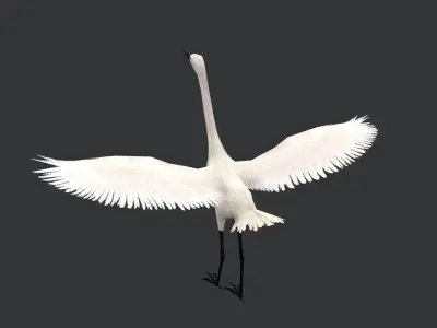 animated egret Low-poly 3D model