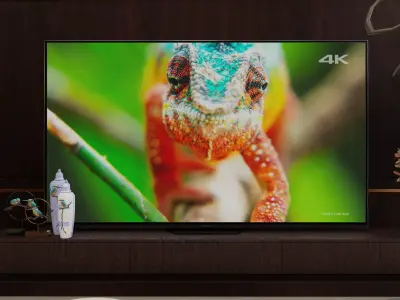 Sony TV Free low-poly 3D model