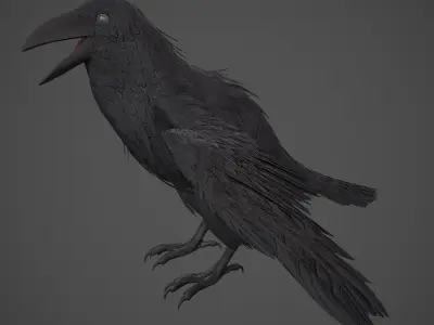Raven Low-poly 3D model