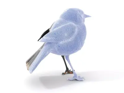 Elegant Magpie Bird model pack Low-poly 3D model