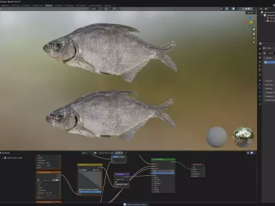 Bream dry fish Low-poly 3D model