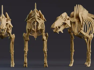 Realistic Mammals Fossil - Entelodont Low-poly 3D model