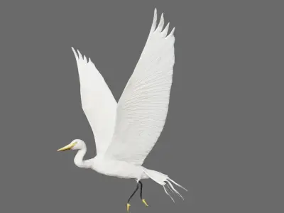 Egret flying in sky Low-poly 3D model