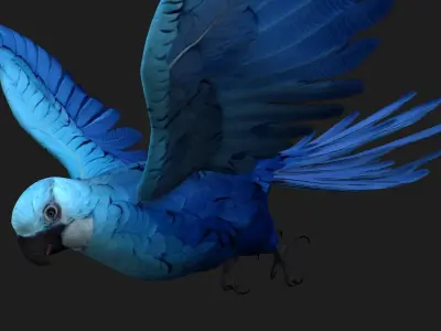 Parrot A4 3D model
